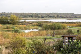 RSPB Dearne Valley - Old Moor