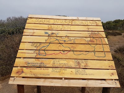 Photos of Puqu&eacute;n Park