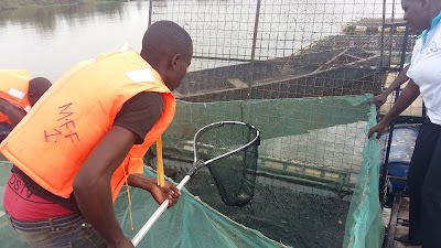 Photos of Mabro Fish Farm Enterprises