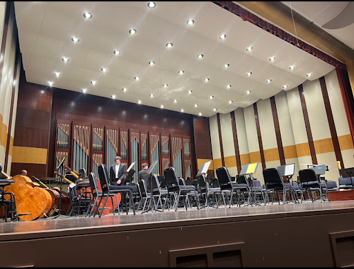 Naples Philharmonic - Thumbnail