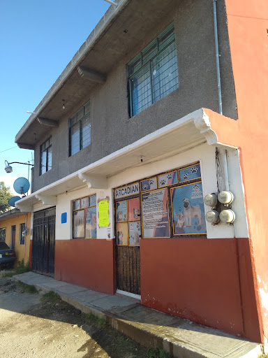 Centro Médico Veterinario Arcadian - Thumbnail