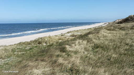 Weg durch die Dünenlandschaft