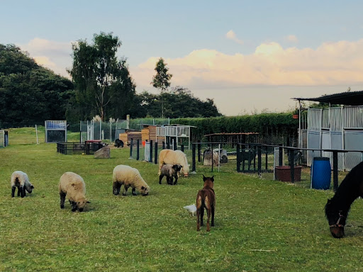 La Granja de los Niños