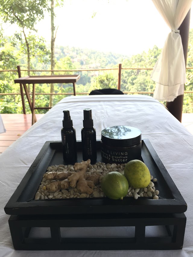 Spa Alila Ubud