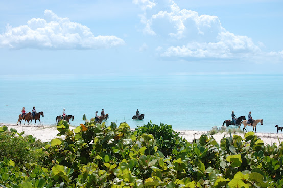 Villa Esencia by null