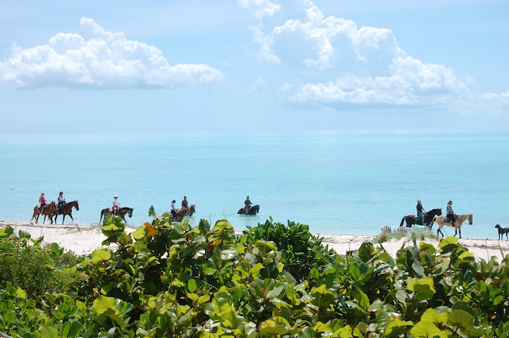 Villa Esencia by null