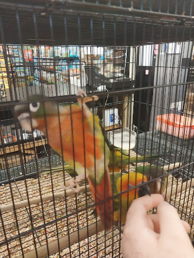 Gone Fishin Exotic Pets - Thumbnail