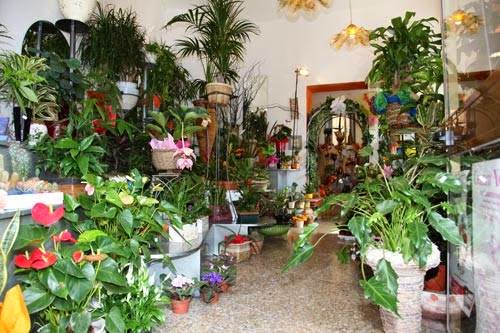 IL GIARDINO DI ERIKA - L’arte nei fiori - Thumbnail