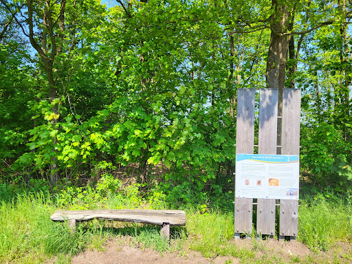 Naturroute mit Familienstrecke Gallery - Germany