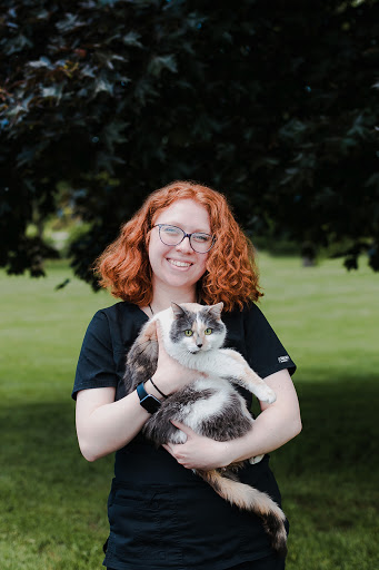 Dansville Animal Hospital Gallery - United States