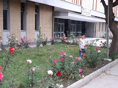 Photos of Pharmacy Factory of MoPH