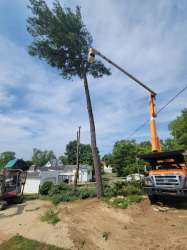 Pro-Tree Service