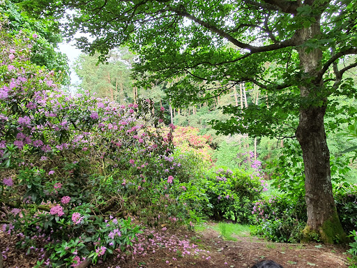 Sheringham Wood (Bottom Access)