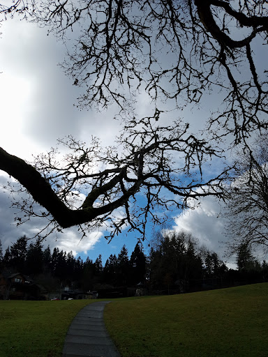 Lafferty Park - Visual
