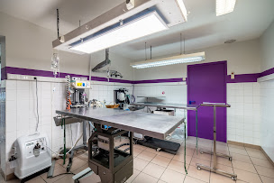 Photo n°23 de Clinique Vétérinaire Argos Limoges Val de l'Aurence à Limoges (Vétérinaire)