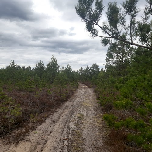 Rūdininkų girios poligonas