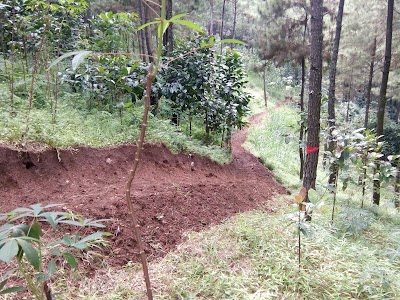 Photos of GENTHARU FUN DOWNHILL