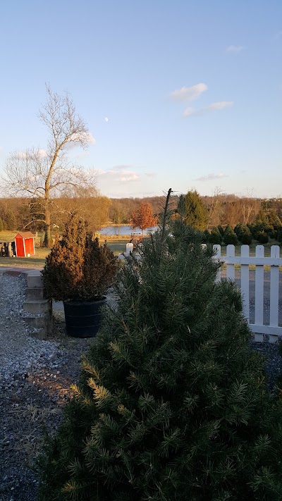 Photos of McCurdy's Tree Farm & Landscaping
