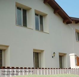 Photo n°2 de DESIGN PEINTURE 21 à Sennecey-lès-Dijon (Peintre en bâtiment)