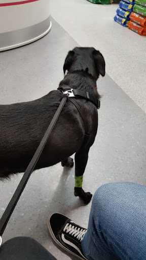 Pets at Home Llanelli - Thumbnail