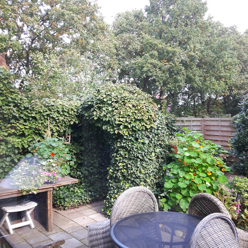 Cis Koetse - Beeld. Kunstenaar