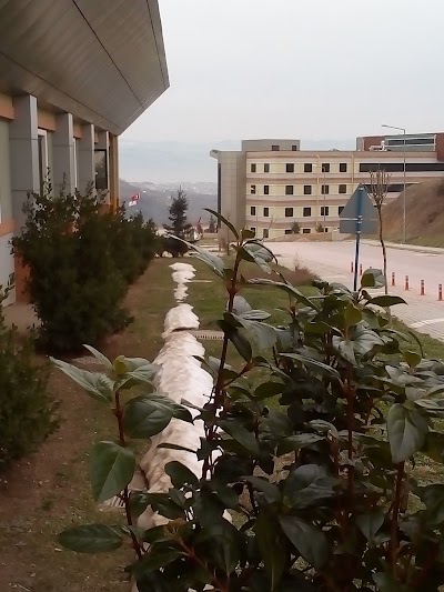 Photos of Kocaeli &Uuml;niversitesi Kapalı Y&uuml;zme Havuzu