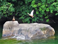 琵琶湖ガイド CHASE バスフィッシング ガイドサービス