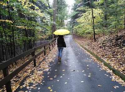 Photos of Binghamton Zoo at Ross Park