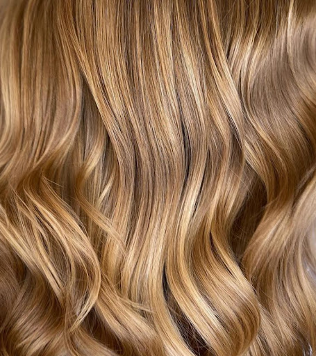 BliefertDerFriseur - Visual