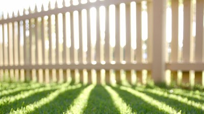 Photos of Lawnmower Mecca