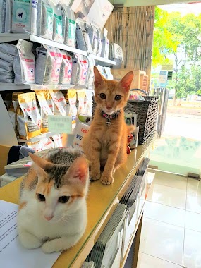 Animaux Pet Shop And Pet Clinic, Author: vika mumpuni