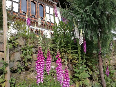Photos of Punakha Hotel
