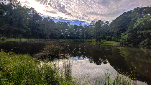 Exchange Park - Thumbnail