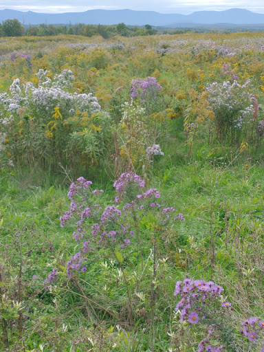 Stockport-Greenport Trail - Thumbnail