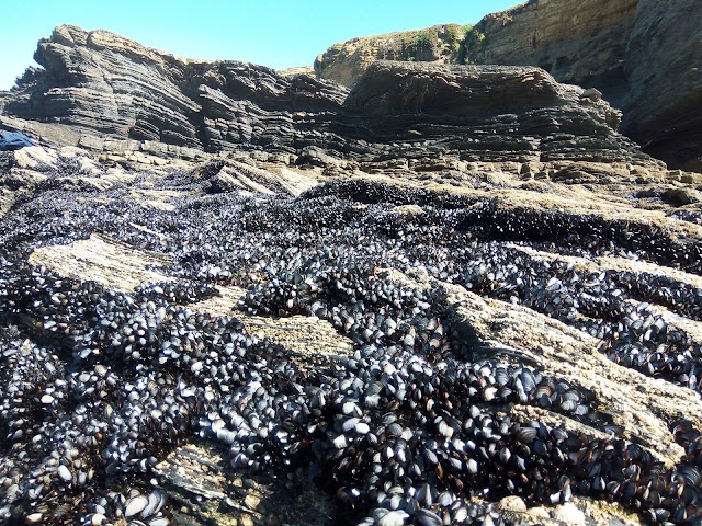 Praia da Zambujeira do Mar