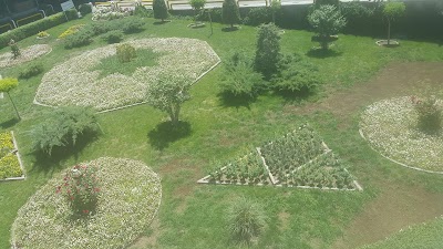 Photos of Vakil Abad Zoo