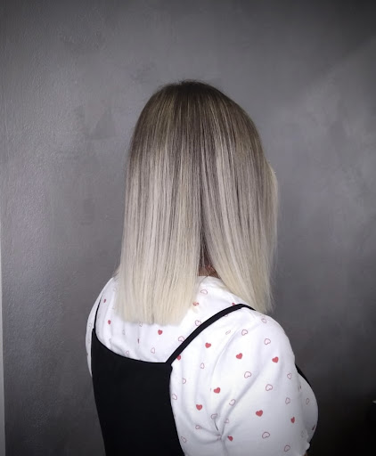 anna bertola - Visual