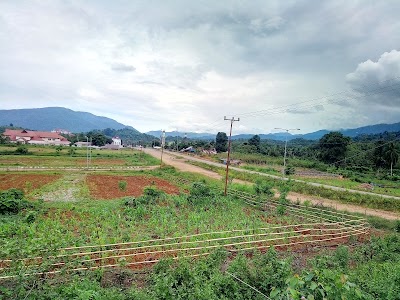 lodging