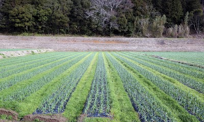 秋吉台農園