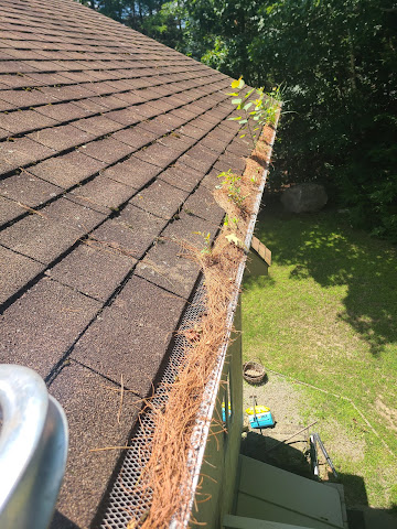Supreme Gutter Cleaning