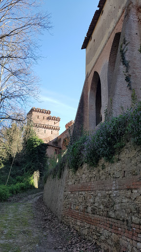 Forcoli