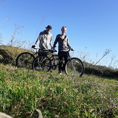 Benton Park Bikes