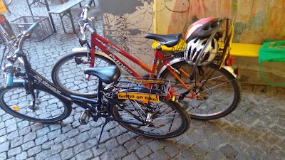 Photos of Berlin on Bike Tours