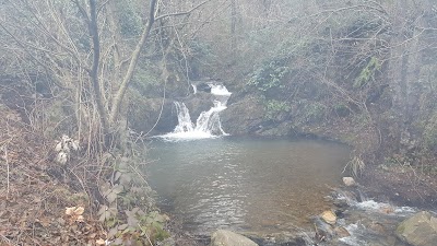 Photos of Kocaeli City Forest