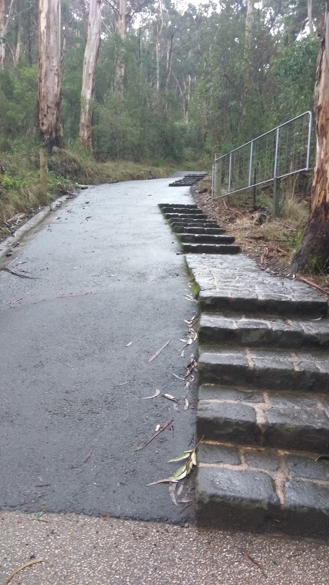 Dandenong Ranges