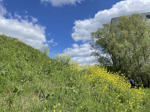 Poort van Veghel - Thumbnail