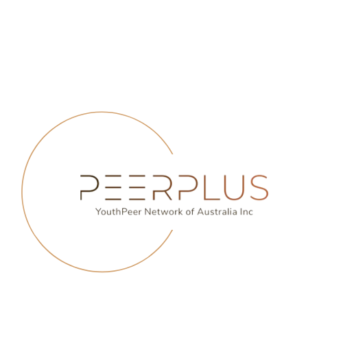 PeerPlus - Visual