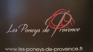Photo n°25 de Les Poneys De Provence à Lambesc (Service de tours de poneys)