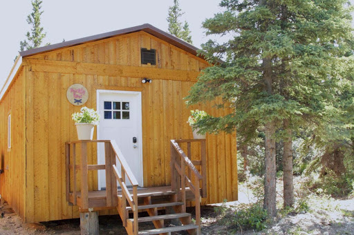 Arctic Dragonfly Inn Logo