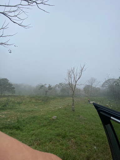 Los cedros San Fernando camping - Thumbnail